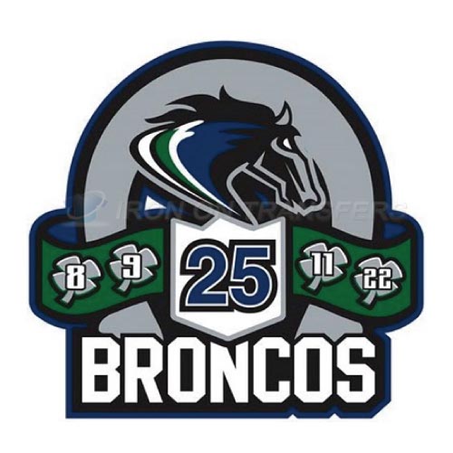Swift Current Broncos Iron-on Stickers (Heat Transfers)NO.7550
